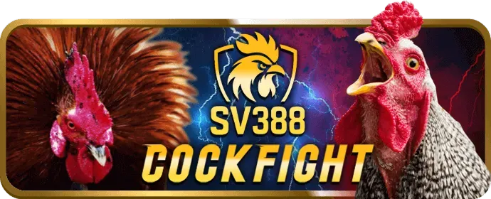 Cấp Độ VIP Kim Cương